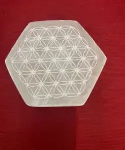Selenite Esagoni con Fiore della Vita