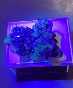 Alternative view of Adamite Collezione