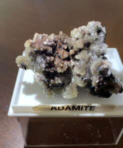 Adamite Collezione