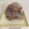Calcedonio Collezione