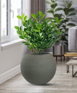 Set di 3 Vasi per Piante da Esterno Interno di Design