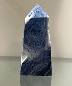 Torri in Corallo Blu - immagine 4
