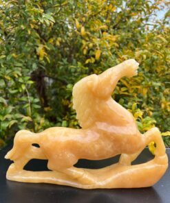 Cavallo Giada Gialla Kg 2300 larga 29 cm alta 21,5 - immagine 5