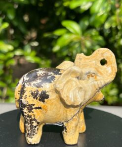 Elefante Diaspro Paesaggio