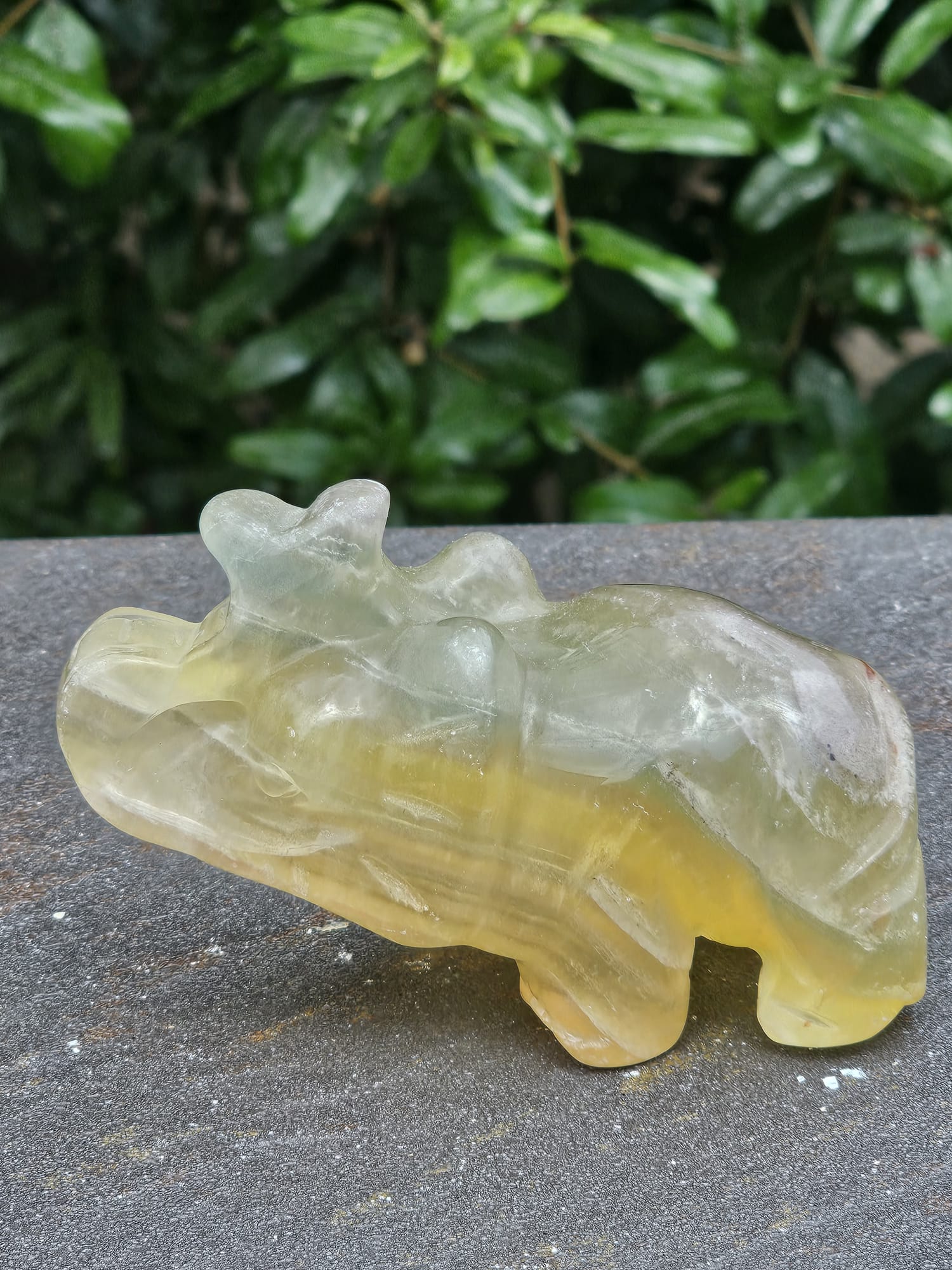 Elefante Fluorite Gialla gr 457