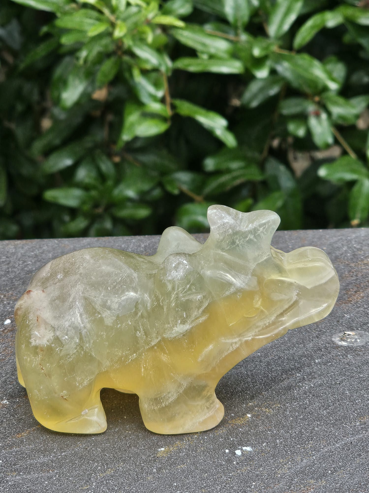 Elefante Fluorite Gialla gr 457 - immagine 4