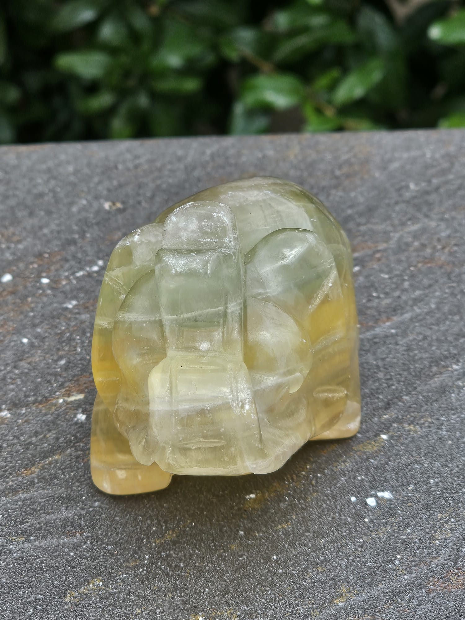 Elefante Fluorite Gialla gr 457 - immagine 5