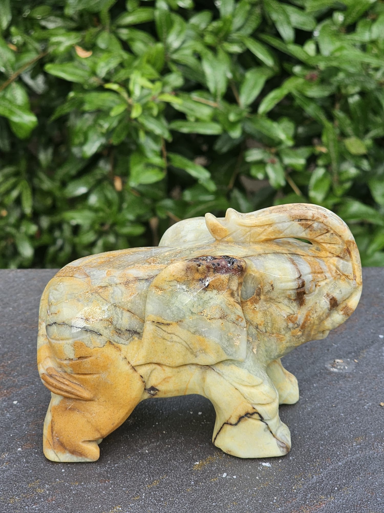 Elefante Calcite Caraibica Gr 810 - immagine 2