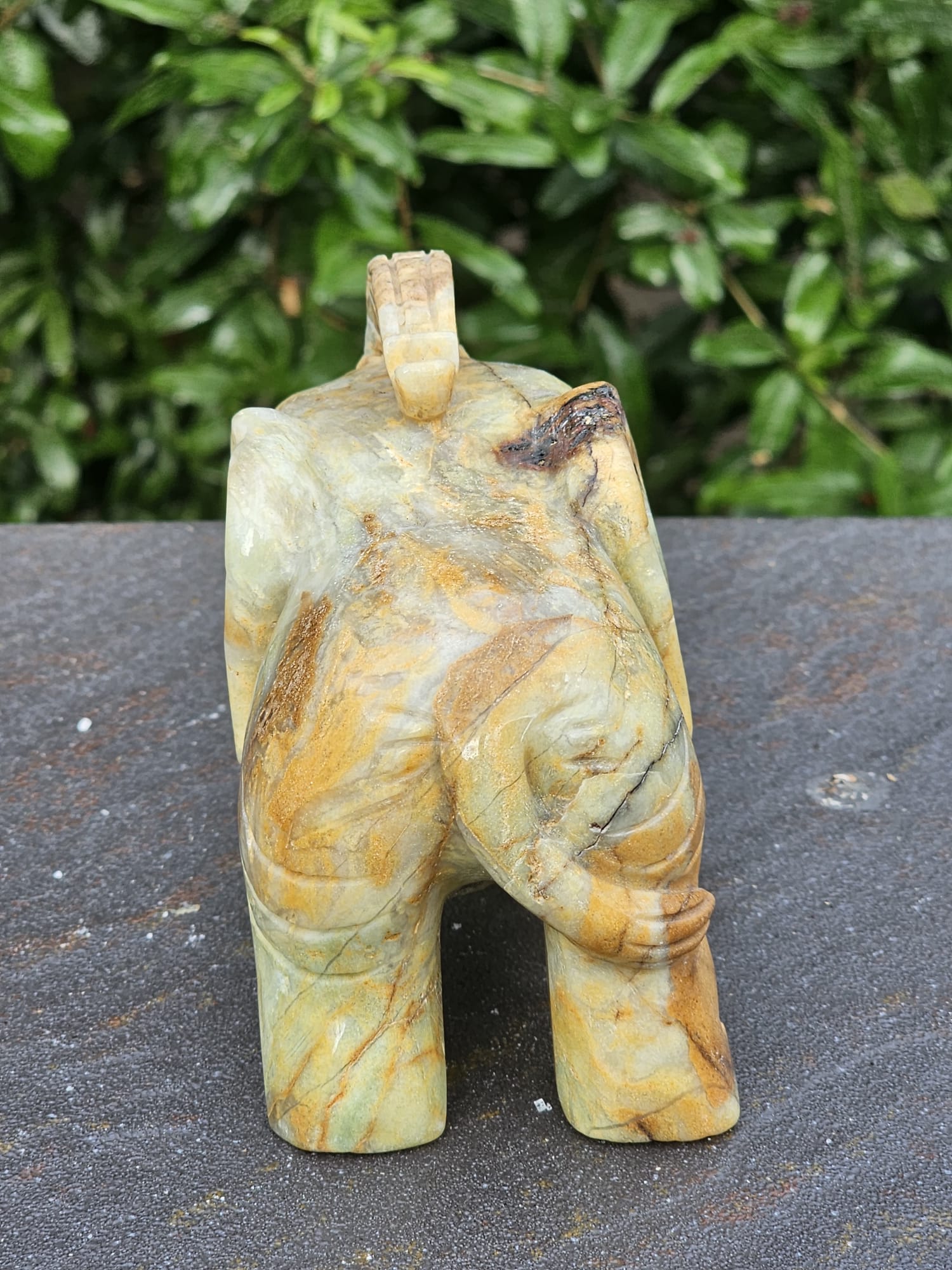 Elefante Calcite Caraibica Gr 810 - immagine 3