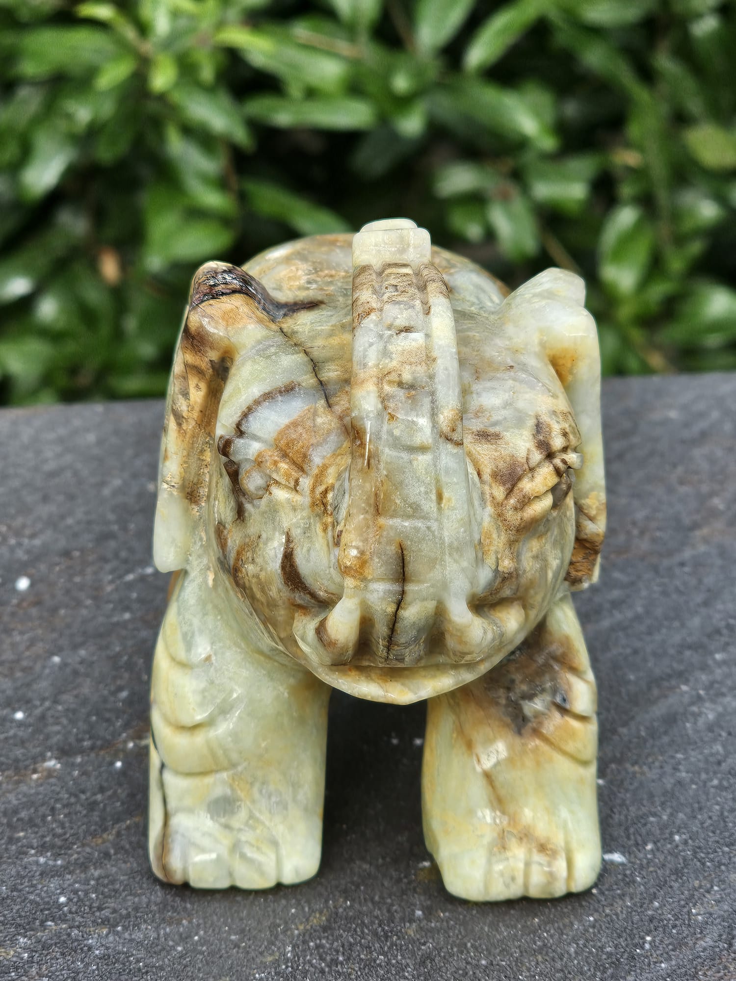 Elefante Calcite Caraibica Gr 810 - immagine 4