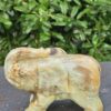 Elefante Calcite Caraibica Gr 810