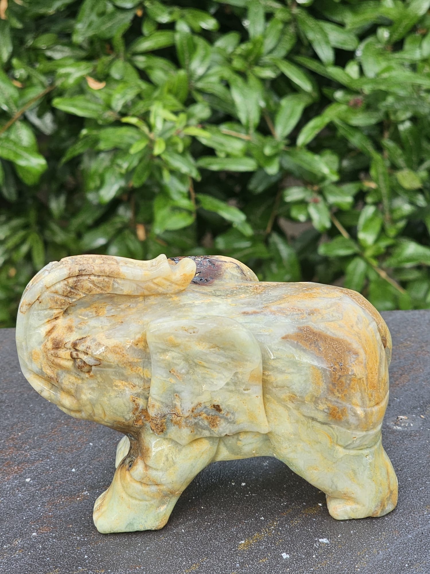 Elefante Calcite Caraibica Gr 810