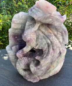 Drago in Fluorite gr 1660