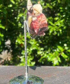 Alternative view of Fiore in Mokaite
