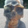 Teschio Calcite Caraibica gr 322