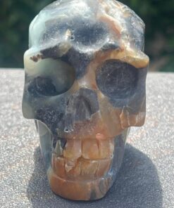 Teschio Calcite Caraibica gr 322