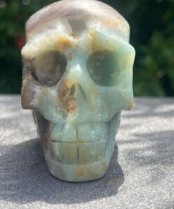 Teschio Calcite Caraibica gr 424