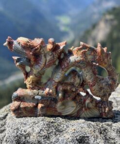 Drago Diaspro Brecciato o Nongken/Longken Jade - immagine 2