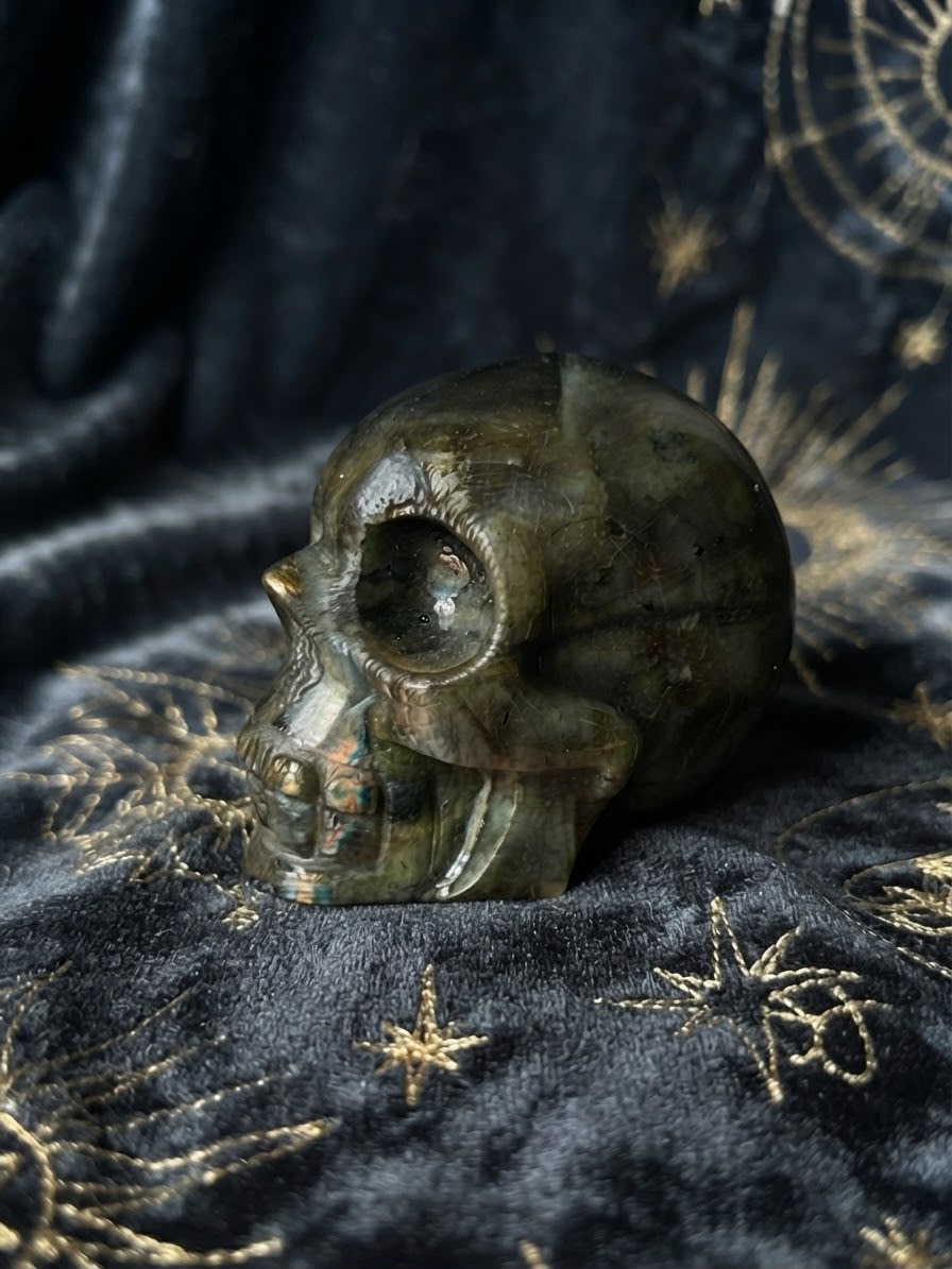 Teschio Labradorite