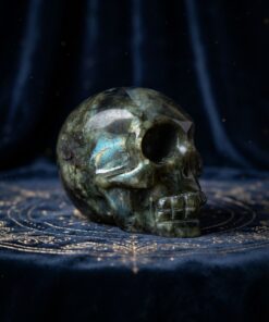 Teschio Labradorite - immagine 3
